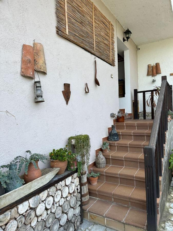 Bed & Breakfast Local Living Edi Berat Exterior foto